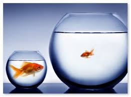 Image for Small Business Optimism Goes Up for 3rd Month in a Row